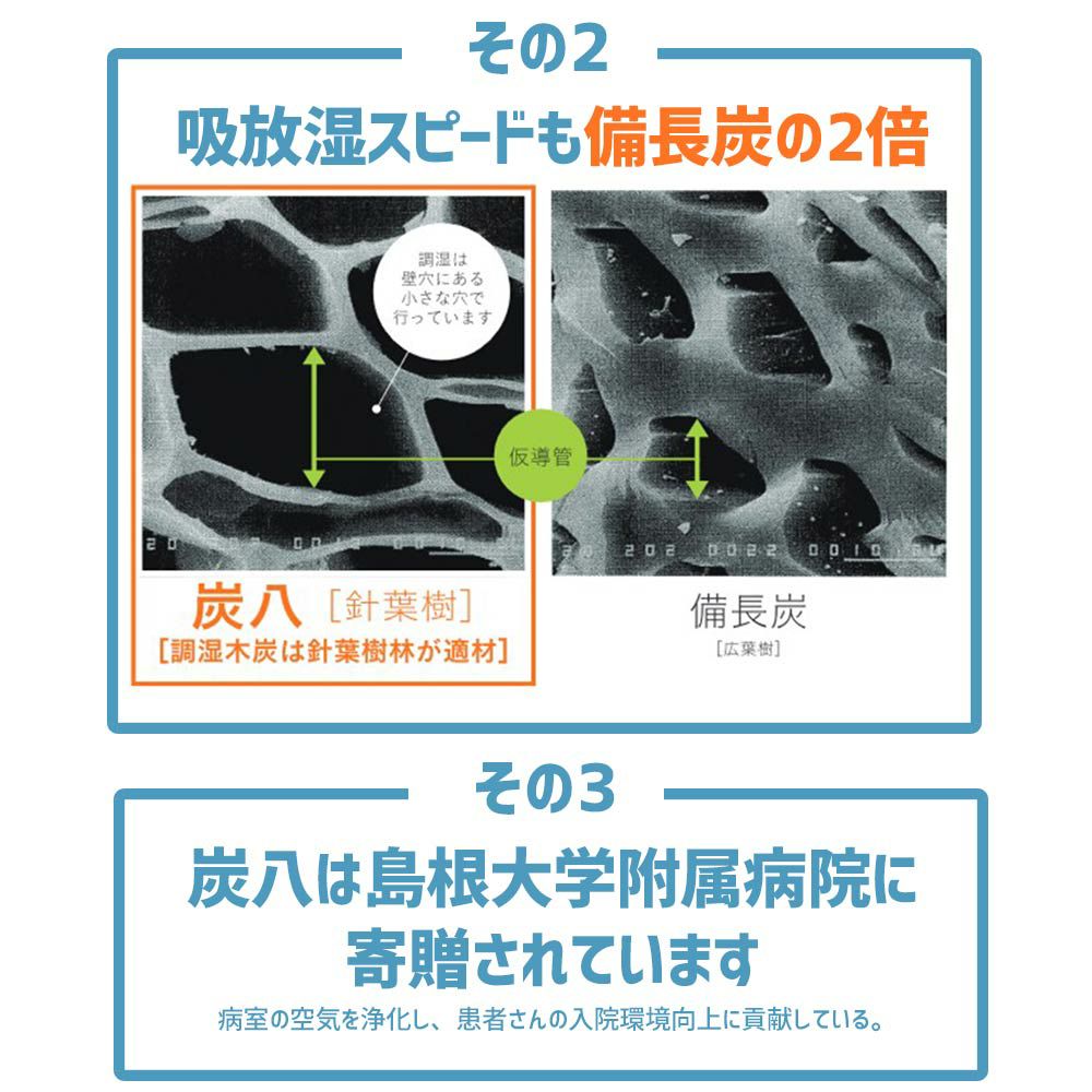 炭八達人が選ぶ！ちょい足し炭八セット室内3L小袋タンス玄関下駄箱湿気除湿調湿脱臭車内