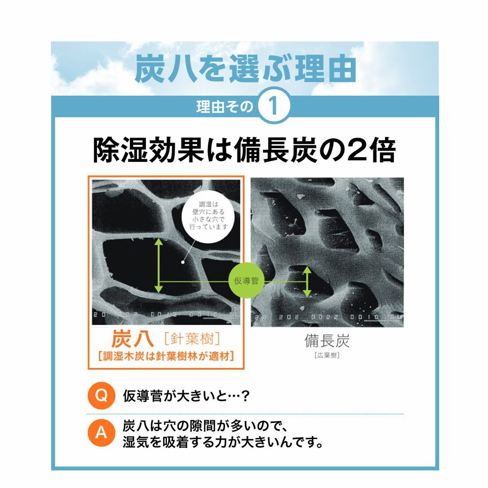 炭八達人が選ぶ！ちょい足し炭八単品3L小袋タンス玄関下駄箱湿気除湿調湿脱臭車内