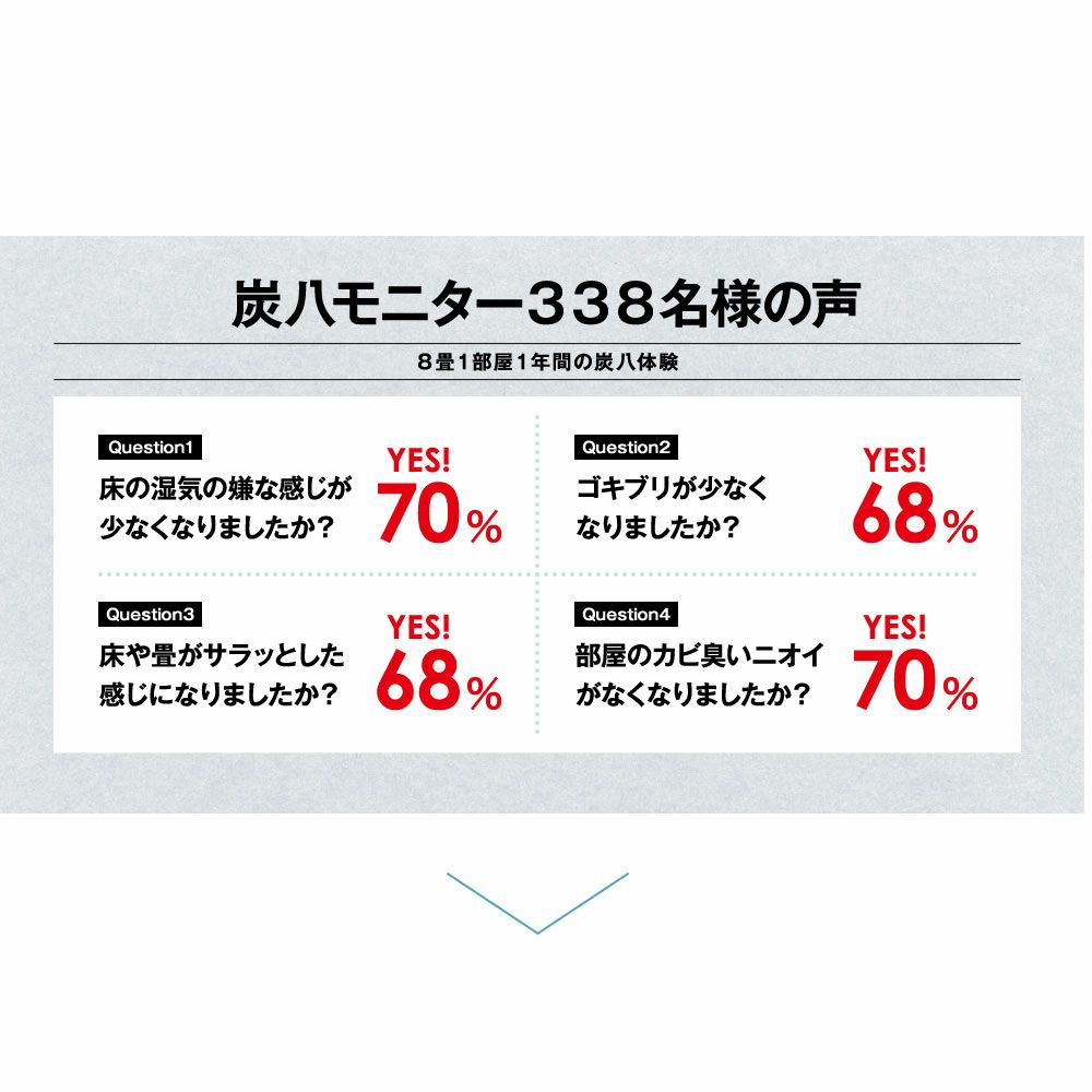炭八達人が選ぶ！ちょい足し炭八単品3L小袋タンス玄関下駄箱湿気除湿調湿脱臭車内