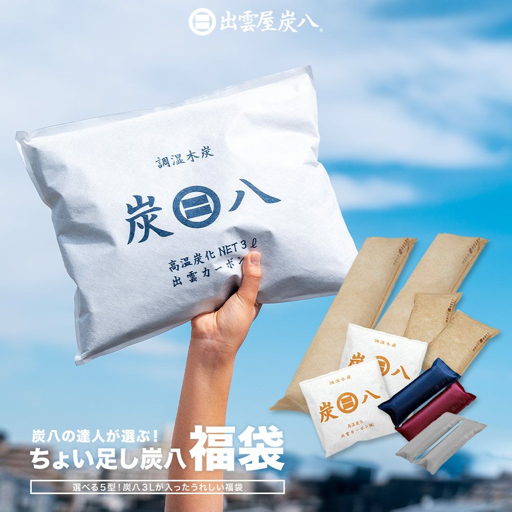 炭八の達人が選ぶ！ちょい足し炭八福袋室内3L小袋タンス玄関下駄箱湿気除湿調湿脱臭車内