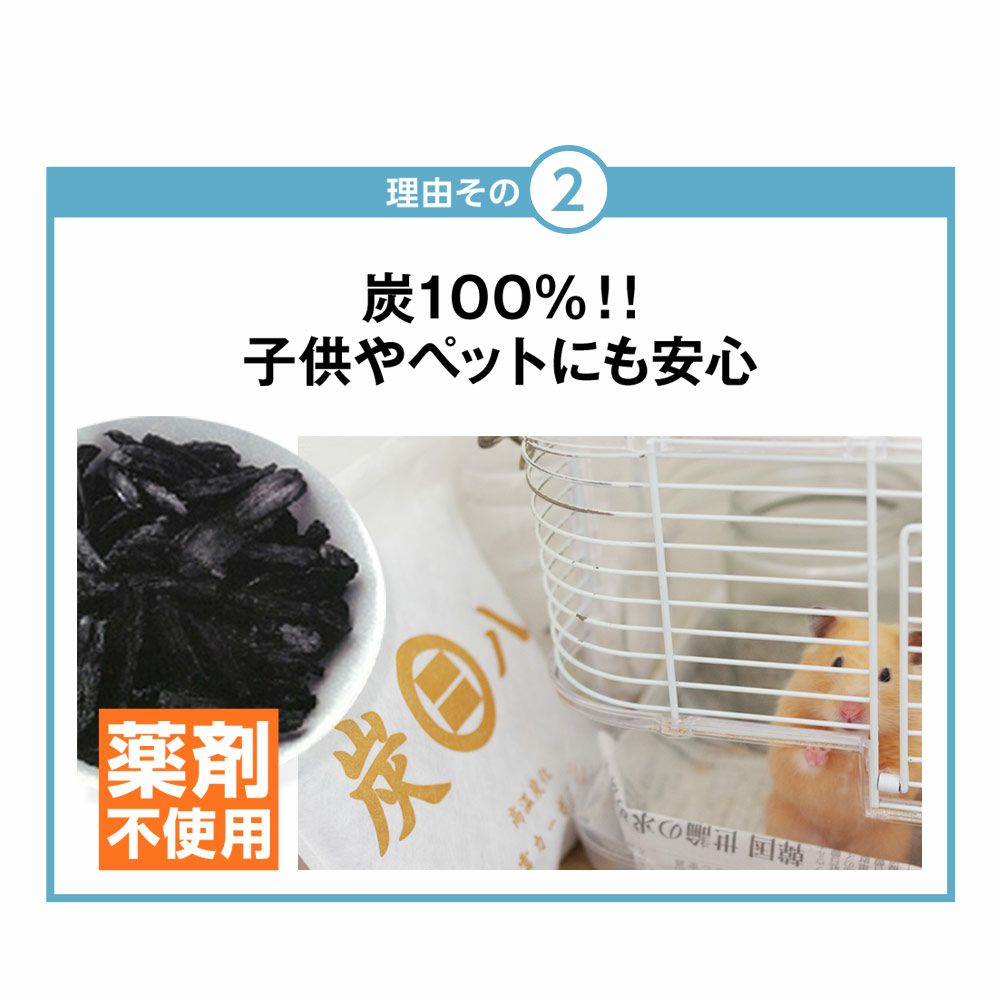 炭八の達人が選ぶ！ちょい足し炭八福袋室内3L小袋タンス玄関下駄箱湿気除湿調湿脱臭車内