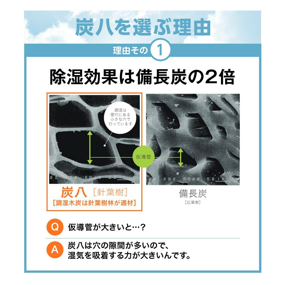 炭八室内用大袋繰り返し使える除湿湿気取り湿気結露防止炭結露防止防止出雲屋調湿消臭除湿剤乾燥材マンション玄関ペット