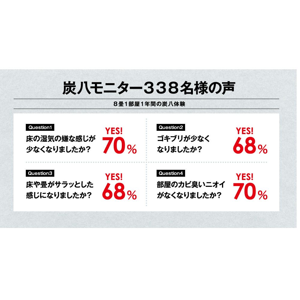 炭八室内用大袋繰り返し使える除湿湿気取り湿気結露防止炭結露防止防止出雲屋調湿消臭除湿剤乾燥材マンション玄関ペット
