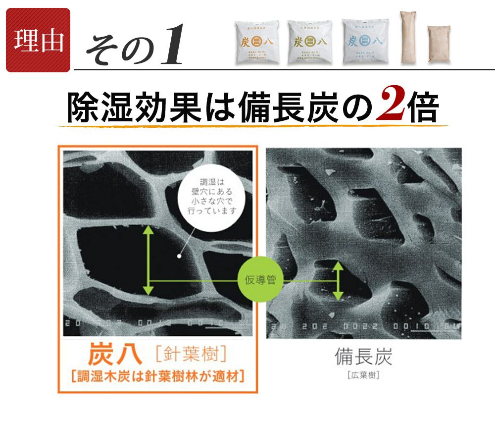 炭八スマートあげます！炭八お試し４種類セット室内用タンス用押入れ用湿気除湿小袋除湿シートクローゼット消臭剤炭送料無料湿気除湿ペット消臭脱臭炭結露結露防止湿気対策調湿木炭マンション結露防止出雲屋炭八