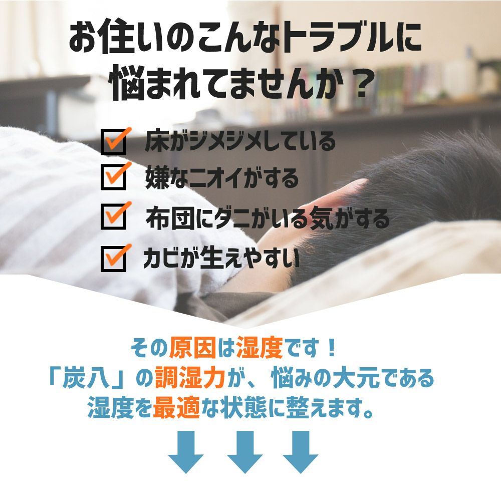 炭八福袋結露結露対策福袋出雲屋炭八繰り返し使える室内押入れTV通販タンスショートロング小袋ミニ結露防止除湿湿気取り消臭車内除湿対策湿気対策湿気とり衣替え