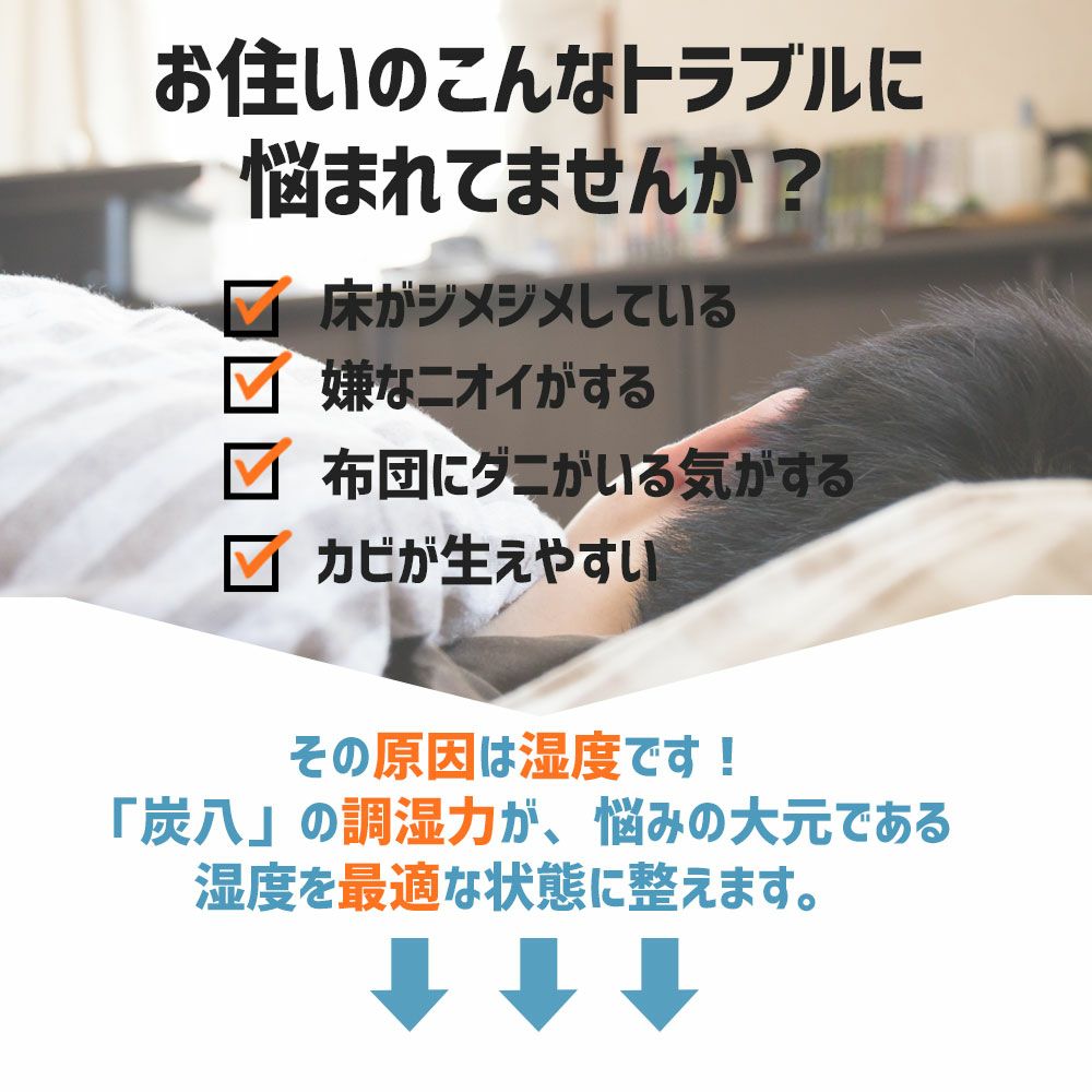 炭八で調湿実感炭八トライアル8Lセットお試しセット室内8L大袋湿気対策室内玄関下駄箱湿気除湿調湿脱臭車内