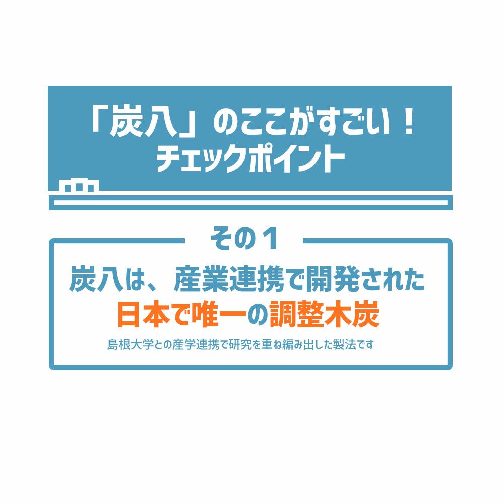 炭八で調湿実感炭八トライアル8Lセットお試しセット室内8L大袋湿気対策室内玄関下駄箱湿気除湿調湿脱臭車内