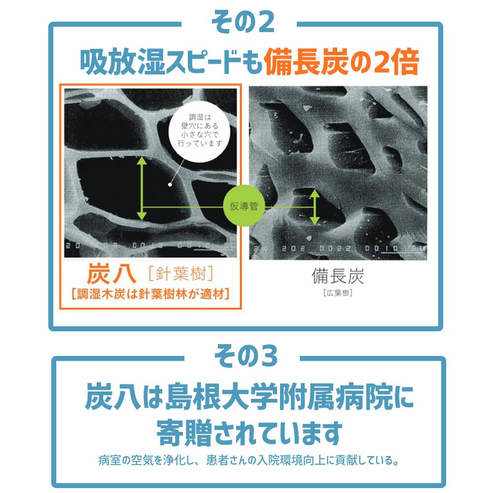 炭八で調湿実感炭八トライアル8Lセットお試しセット室内8L大袋湿気対策室内玄関下駄箱湿気除湿調湿脱臭車内