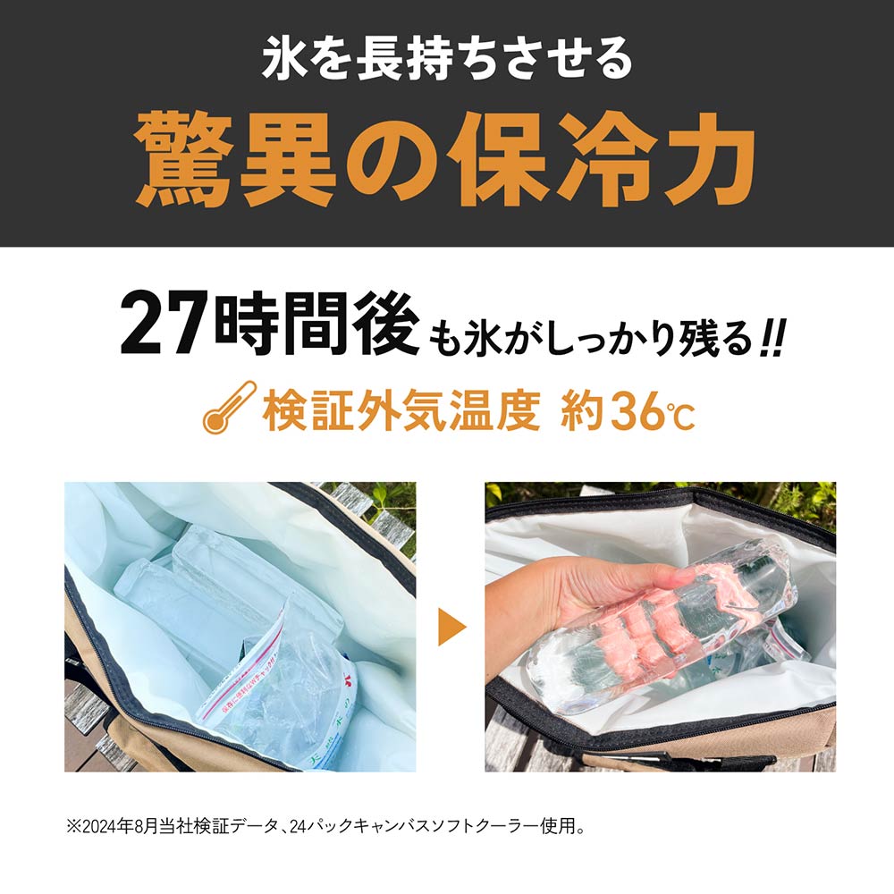 AOクーラーズAOcoolersエーオークーラーズ12パックキャンバスソフトクーラーバッグエコバッグ小型12缶用11.35L