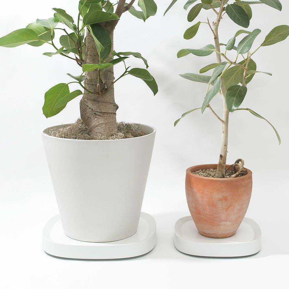 プランタブルSLラージPlantabletidyティディキャスター付き鉢台鉢皿受け皿受皿台車ブラックブラウンホワイトトレイトレープランター観葉植物