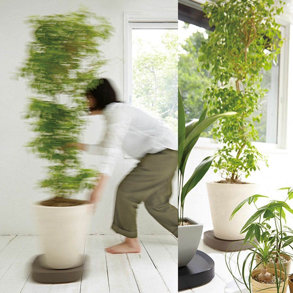 プランタブルSLラージPlantabletidyティディキャスター付き鉢台鉢皿受け皿受皿台車ブラックブラウンホワイトトレイトレープランター観葉植物